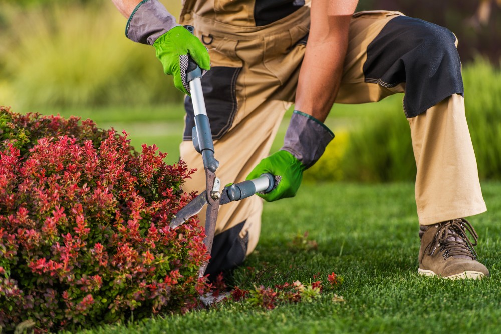 Yard care